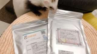 フェレットマートの良質たんぱくミルク