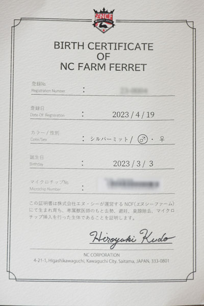 NCフェレットの証明書